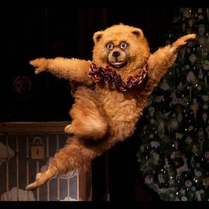 Meet your Posher, Yuhan